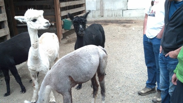 2013-07-31_17-45-34_115