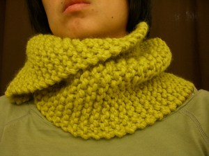 3047776910_02f3548e4a_z[1]