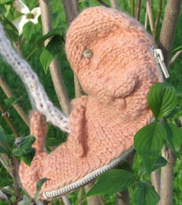 1233545803_230c48ccae_z[1]