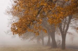 b0a416d5ce158c4654afa438dc27868e[1]