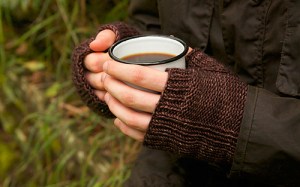 SC-maize-02_medium[1]