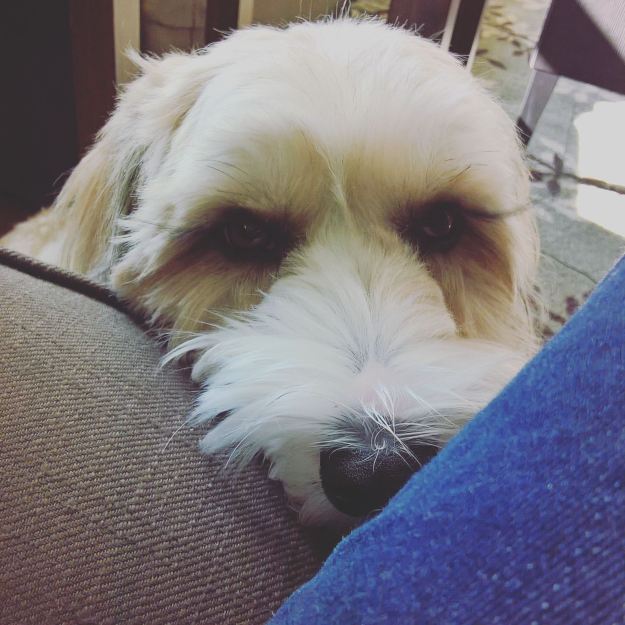 2cef20bd-63e4-4e8d-917e-e7232a179f82